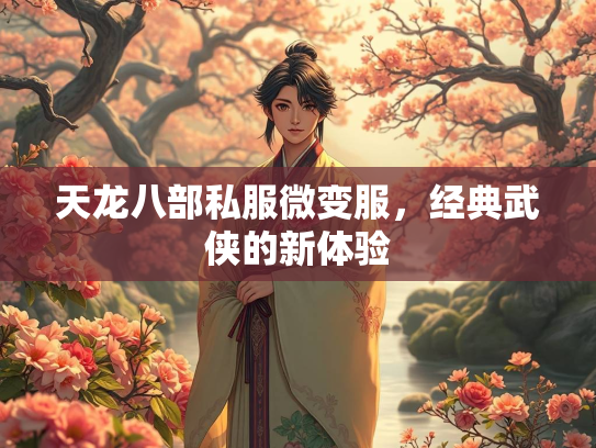 天龙八部私服微变服，经典武侠的新体验