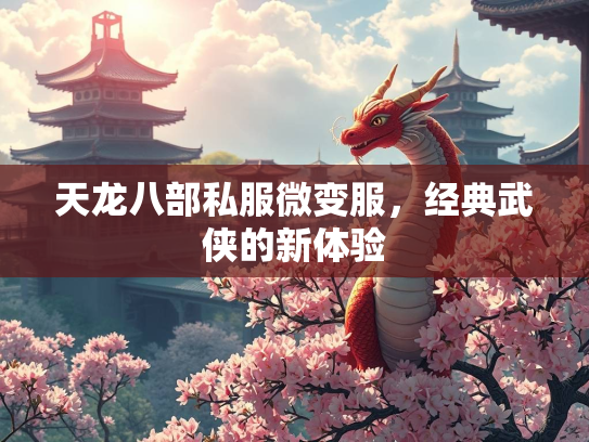 天龙八部私服微变服，经典武侠的新体验  第1张