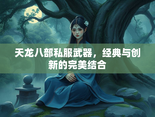 天龙八部私服武器，经典与创新的完美结合  第2张