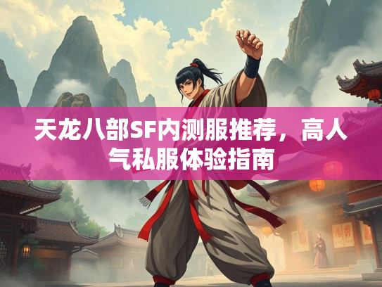 天龙八部SF内测服推荐，高人气私服体验指南  第3张