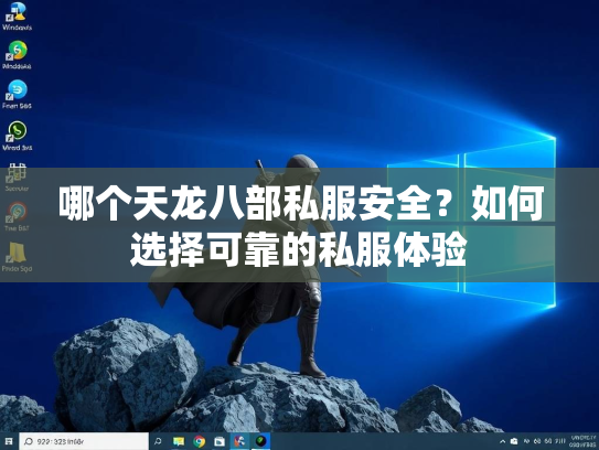 哪个天龙八部私服安全？如何选择可靠的私服体验  第2张
