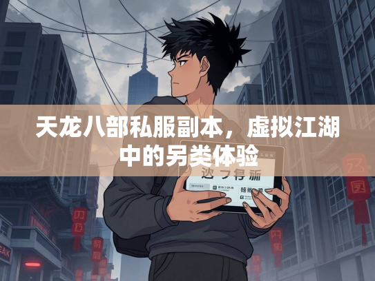 天龙八部私服副本，虚拟江湖中的另类体验  第2张