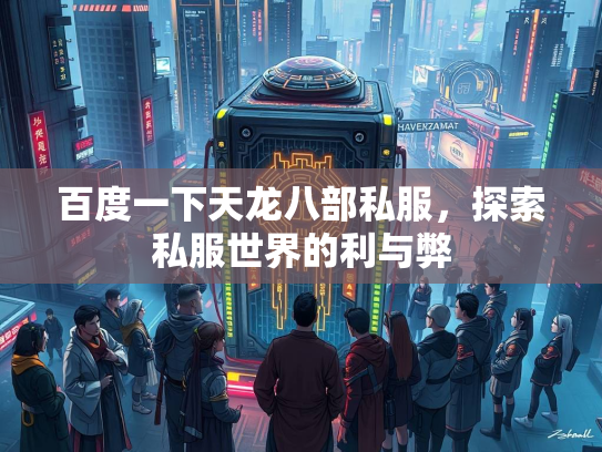 百度一下天龙八部私服，探索私服世界的利与弊  第3张