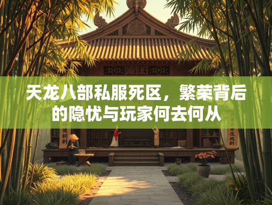 天龙八部私服死区，繁荣背后的隐忧与玩家何去何从
