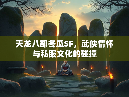 天龙八部冬瓜SF，武侠情怀与私服文化的碰撞