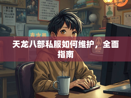 天龙八部私服如何维护，全面指南  第3张