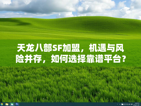 天龙八部SF加盟，机遇与风险并存，如何选择靠谱平台？  第2张