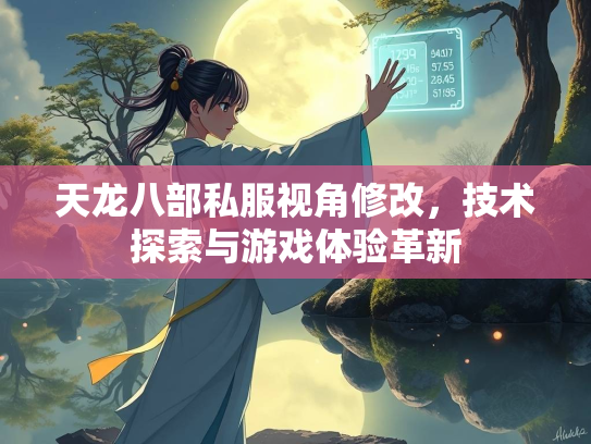 天龙八部私服视角修改，技术探索与游戏体验革新