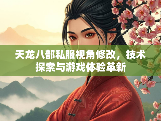 天龙八部私服视角修改，技术探索与游戏体验革新