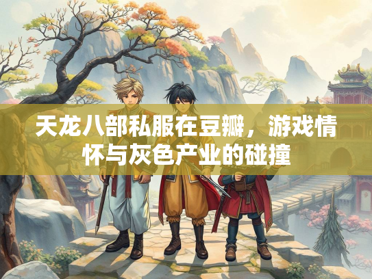 天龙八部私服在豆瓣，游戏情怀与灰色产业的碰撞  第2张