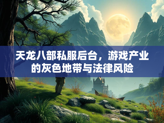 天龙八部私服后台，游戏产业的灰色地带与法律风险  第2张