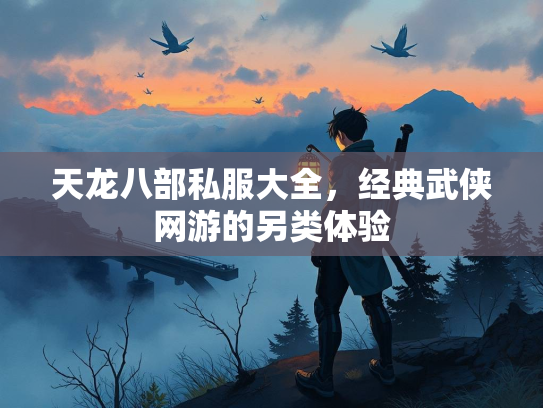 天龙八部私服大全，经典武侠网游的另类体验  第2张