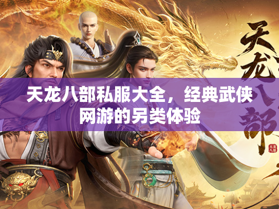 天龙八部私服大全，经典武侠网游的另类体验  第3张