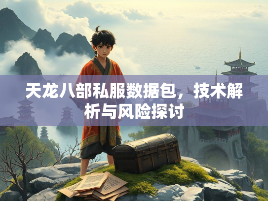 天龙八部私服数据包，技术解析与风险探讨