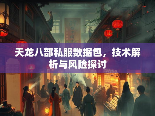 天龙八部私服数据包，技术解析与风险探讨