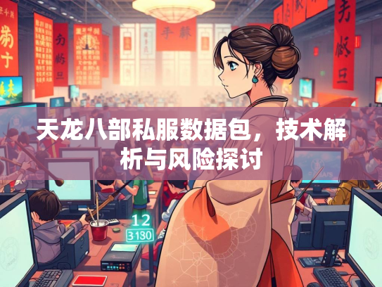 天龙八部私服数据包，技术解析与风险探讨