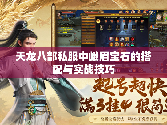 天龙八部私服中峨眉宝石的搭配与实战技巧