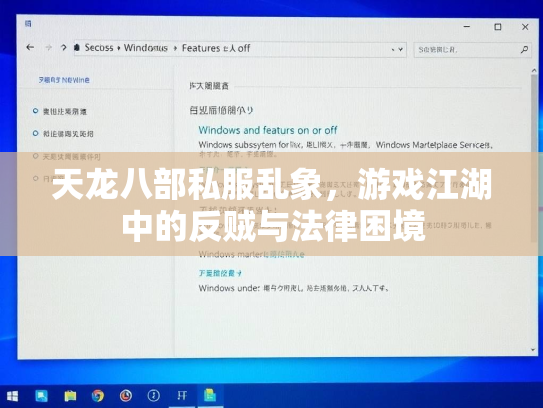 天龙八部私服乱象，游戏江湖中的反贼与法律困境  第2张
