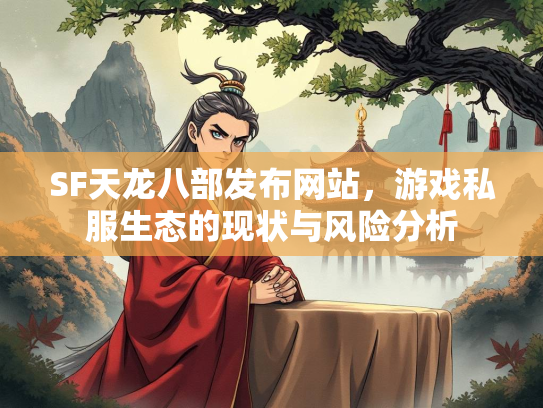 SF天龙八部发布网站，游戏私服生态的现状与风险分析