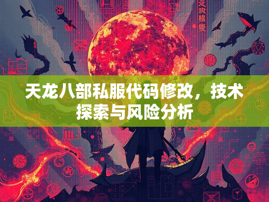 天龙八部私服代码修改，技术探索与风险分析  第2张