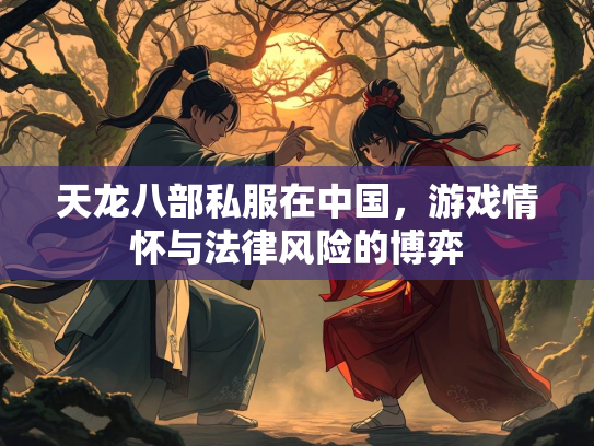 天龙八部私服在中国，游戏情怀与法律风险的博弈