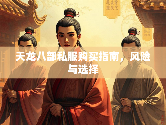 天龙八部私服购买指南，风险与选择