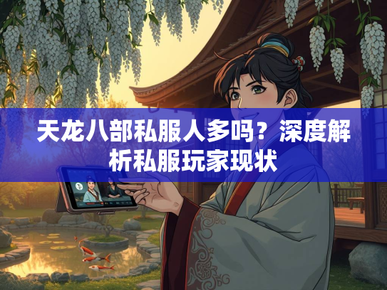 天龙八部私服人多吗？深度解析私服玩家现状  第3张
