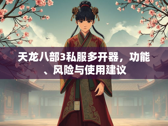 天龙八部3私服多开器，功能、风险与使用建议  第2张