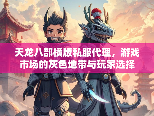 天龙八部横版私服代理，游戏市场的灰色地带与玩家选择  第2张