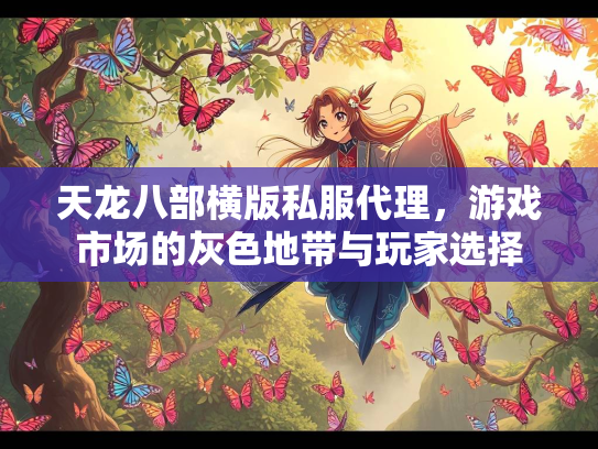 天龙八部横版私服代理，游戏市场的灰色地带与玩家选择