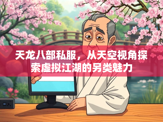 天龙八部私服，从天空视角探索虚拟江湖的另类魅力