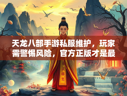 天龙八部手游私服维护，玩家需警惕风险，官方正版才是最佳选择