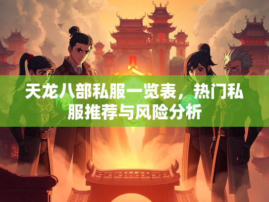 天龙八部私服一览表，热门私服推荐与风险分析  第2张