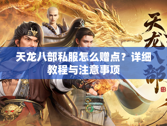 天龙八部私服怎么赠点？详细教程与注意事项  第5张