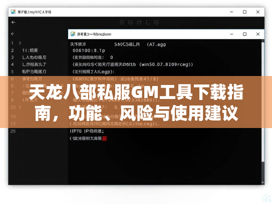 天龙八部私服GM工具下载指南，功能、风险与使用建议  第3张