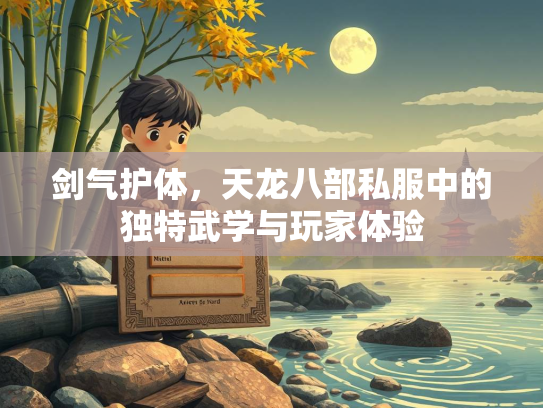 剑气护体，天龙八部私服中的独特武学与玩家体验  第1张
