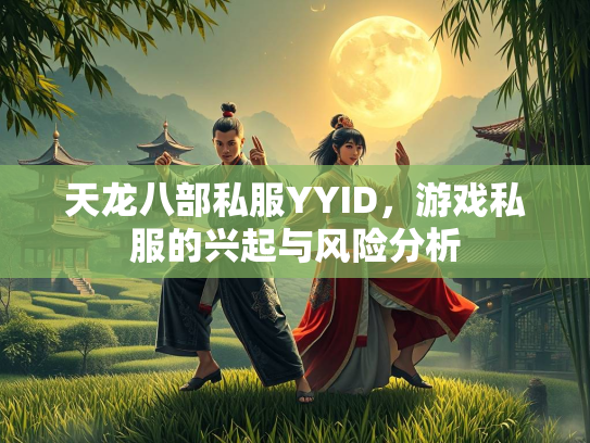 天龙八部私服YYID，游戏私服的兴起与风险分析  第4张