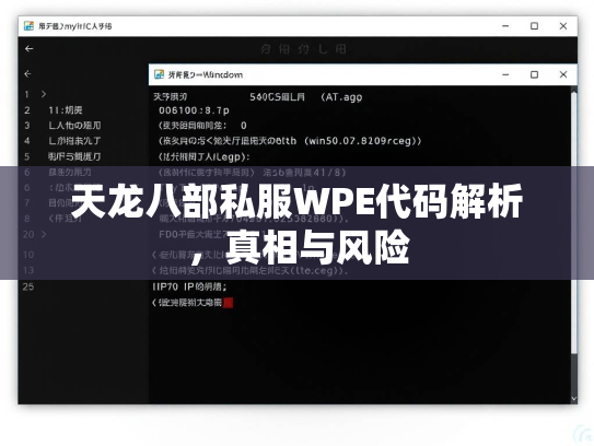 天龙八部私服WPE代码解析，真相与风险