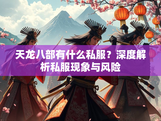 天龙八部有什么私服？深度解析私服现象与风险  第3张