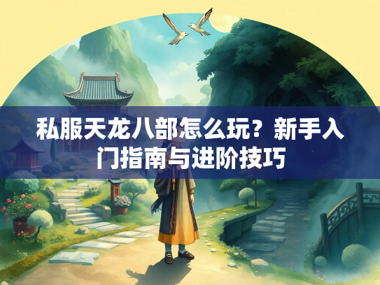 私服天龙八部怎么玩？新手入门指南与进阶技巧  第1张