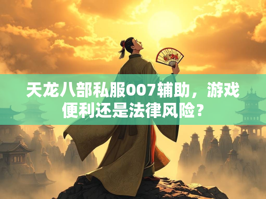 天龙八部私服007辅助，游戏便利还是法律风险？  第4张