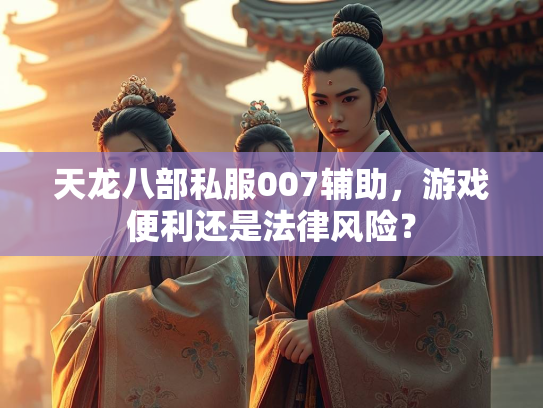 天龙八部私服007辅助，游戏便利还是法律风险？