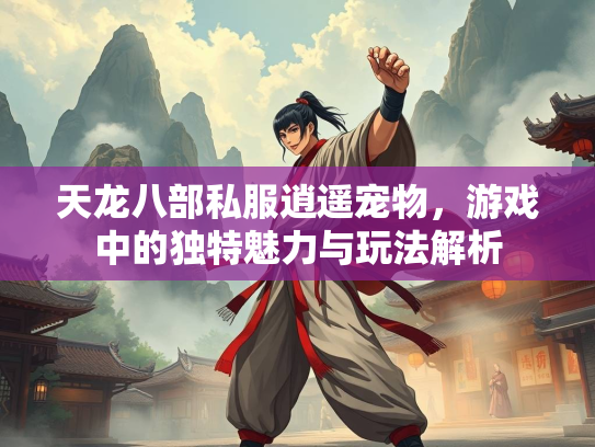 天龙八部私服逍遥宠物，游戏中的独特魅力与玩法解析  第3张