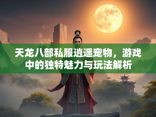 天龙八部私服逍遥宠物，游戏中的独特魅力与玩法解析  第4张