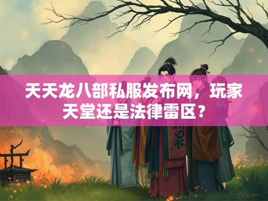 天天龙八部私服发布网，玩家天堂还是法律雷区？  第2张