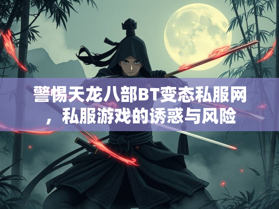 警惕天龙八部BT变态私服网，私服游戏的服网诱惑与风险  第1张