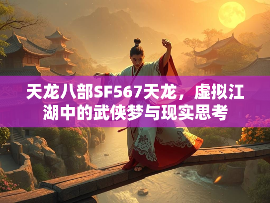 天龙八部SF567天龙，虚拟江湖中的武侠梦与现实思考  第4张