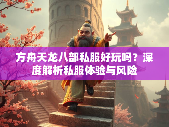 方舟天龙八部私服好玩吗？深度解析私服体验与风险  第5张