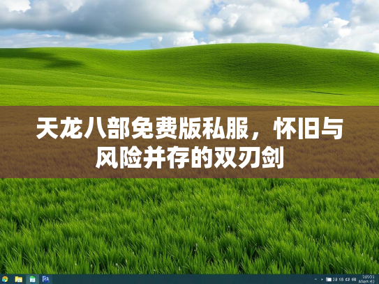 天龙八部免费版私服，怀旧与风险并存的双刃剑  第3张