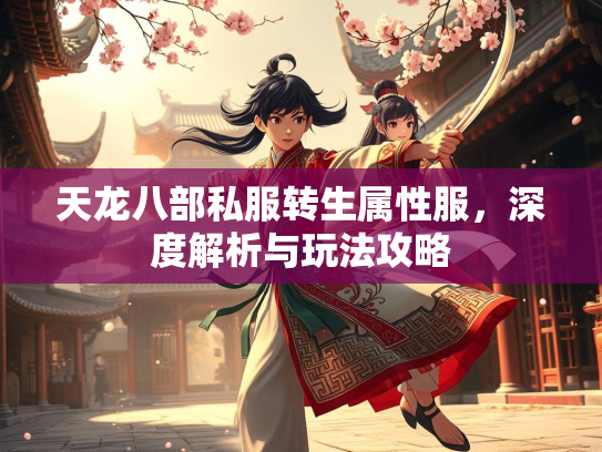 天龙八部私服转生属性服，深度解析与玩法攻略